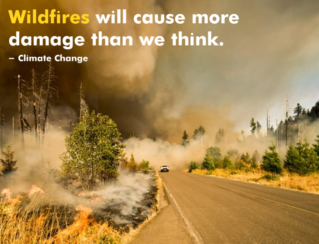 Wildfires will cause more damage than we think. - Climate Change